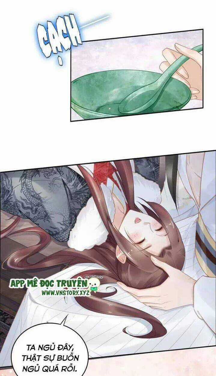 Nhất Sinh Nhất Thế Tiếu Thương Khung Chapter 87 trang 23