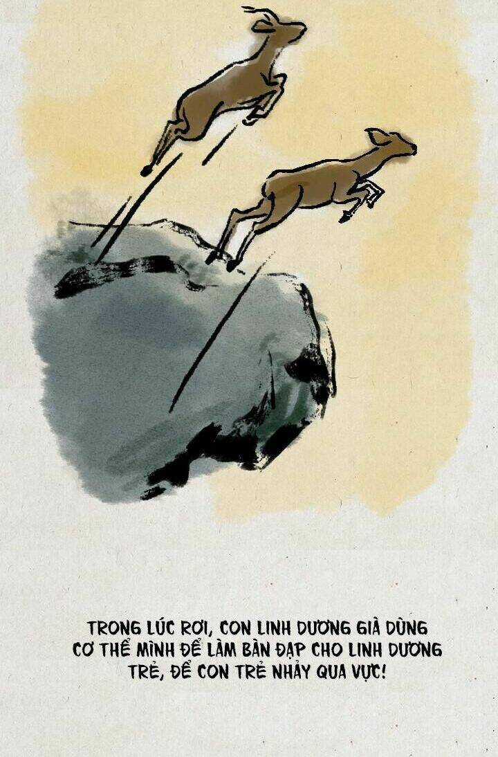 Nhất Thiền Tiểu Hòa Thượng Chapter 63 trang 15