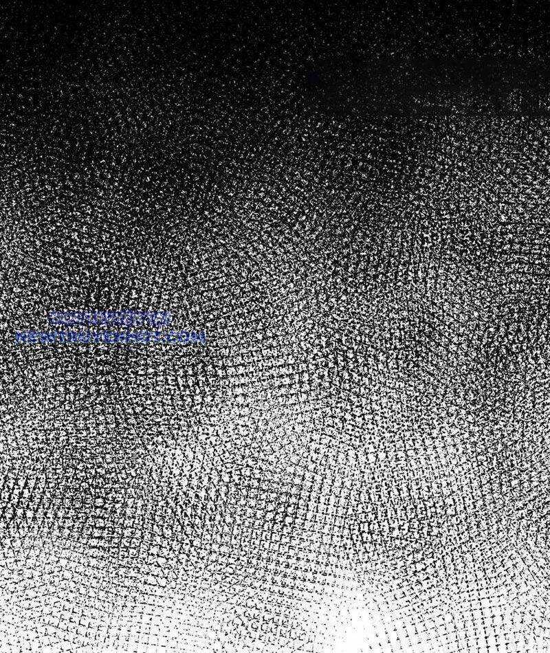 Nhị Sư Huynh Tuy Là Phàm Nhân Nhưng Rất Mạnh Mẽ Chương 85 trang 89