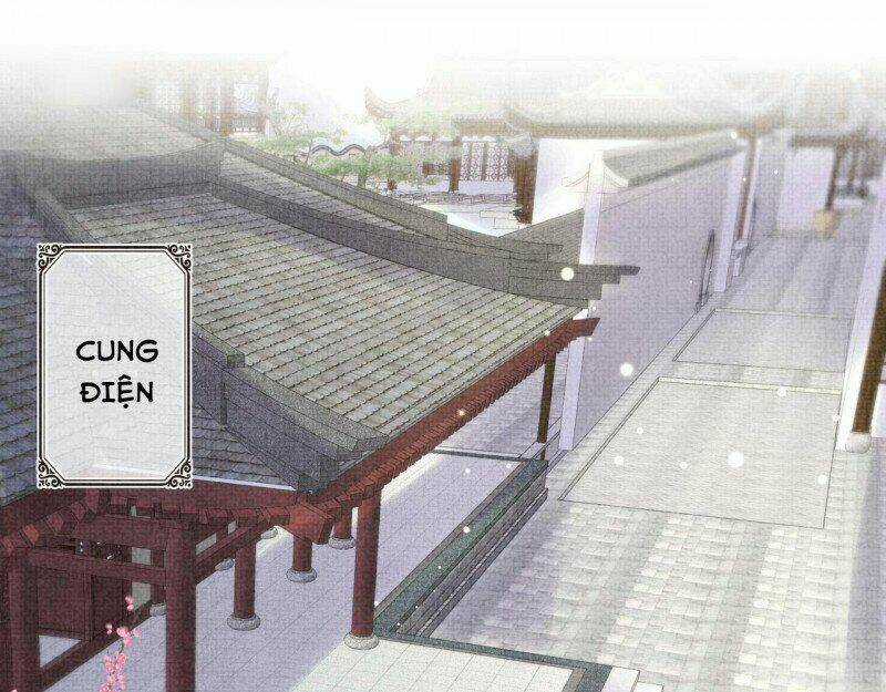 Nhóc Con Người Cá 3 Tuổi Rồi Chapter 267 trang 1