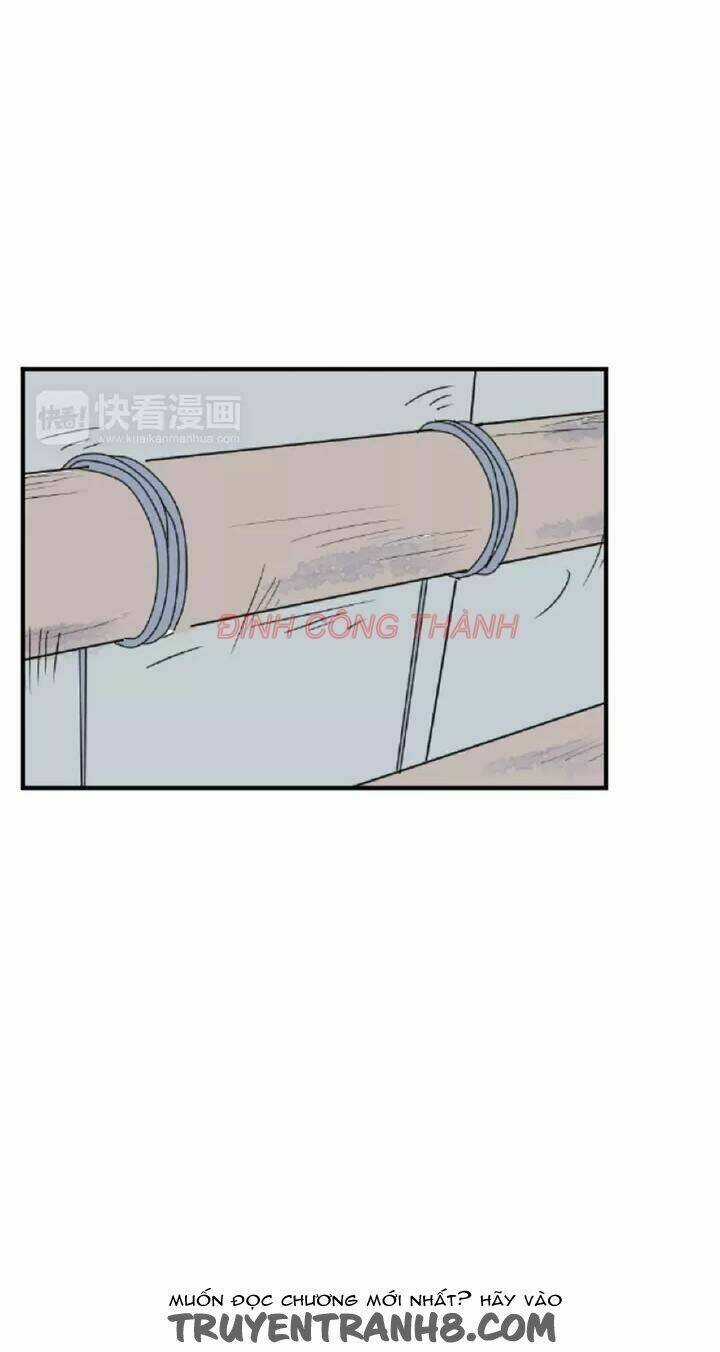 Nhộng Chapter 1 trang 37