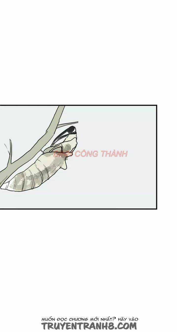 Nhộng Chapter 1 trang 4