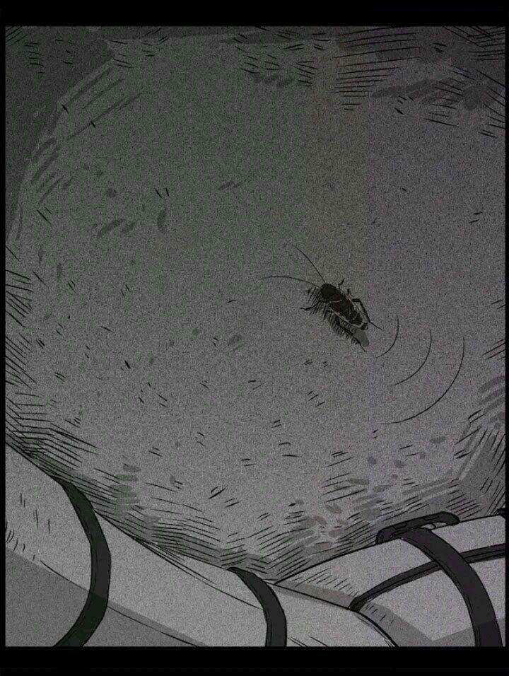 Những Câu Chuyện Kinh Dị Ở Trung Học Tây Lăng Chapter 22 trang 21