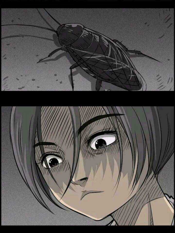 Những Câu Chuyện Kinh Dị Ở Trung Học Tây Lăng Chapter 22 trang 23