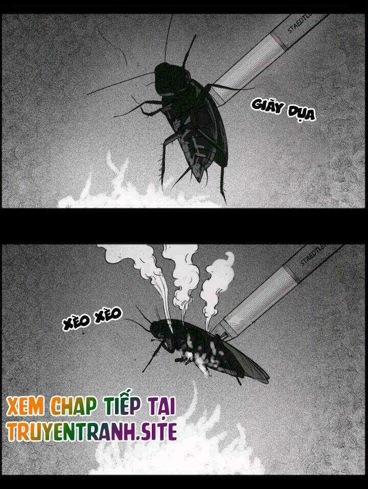 Những Câu Chuyện Kinh Dị Ở Trung Học Tây Lăng Chapter 22 trang 28