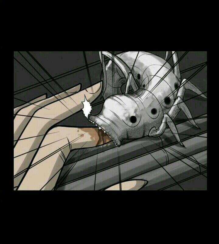 Những Câu Chuyện Kinh Dị Ở Trung Học Tây Lăng Chapter 3 trang 12