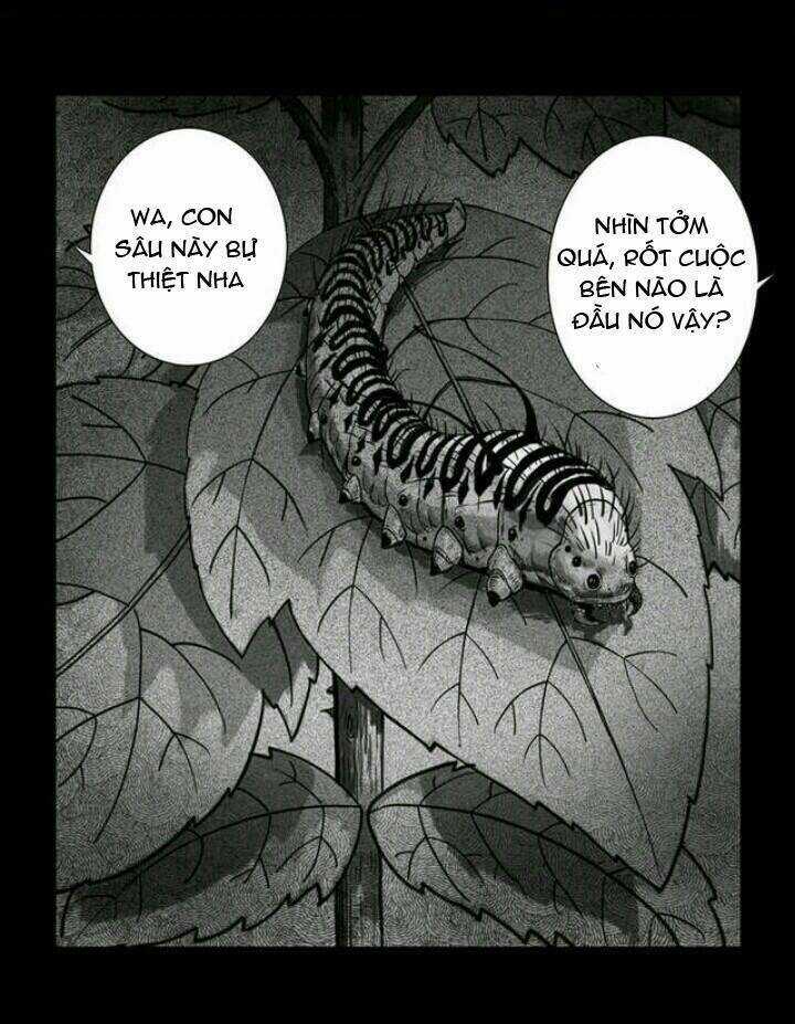 Những Câu Chuyện Kinh Dị Ở Trường Trung Học Tây Lăng Chapter 2 trang 4