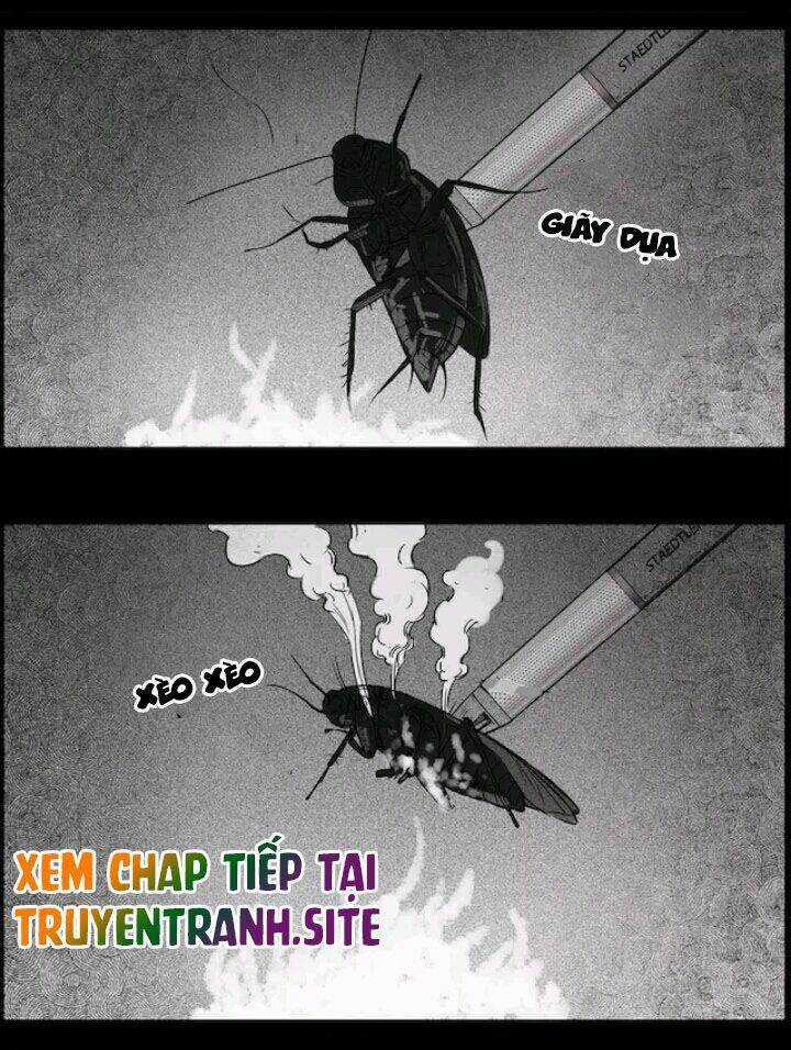 Những Câu Chuyện Kinh Dị Ở Trường Trung Học Tây Lăng Chapter 22 trang 28
