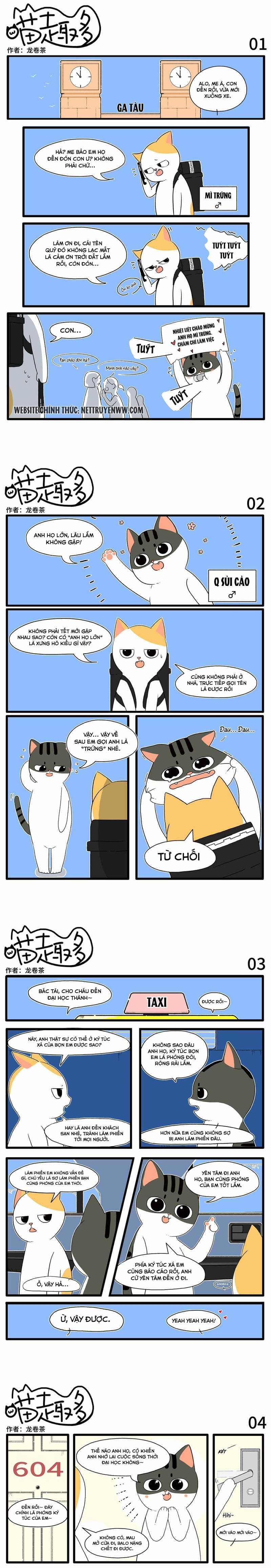 Những chú mèo vui vẻ Chapter 1 trang 0