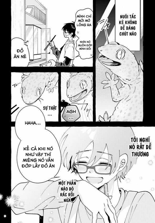 Những Cô Gái Thuộc Loại Bò Sát Chapter 4 trang 19
