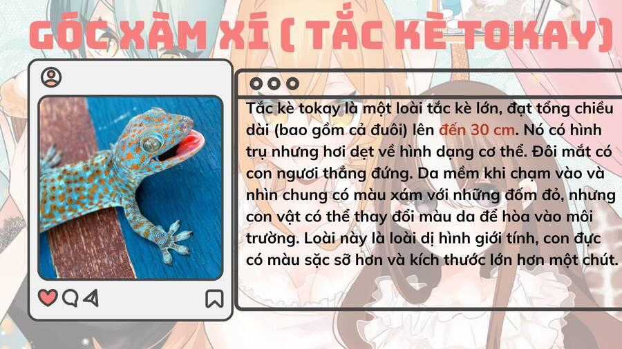Những Cô Gái Thuộc Loại Bò Sát Chapter 4 trang 24