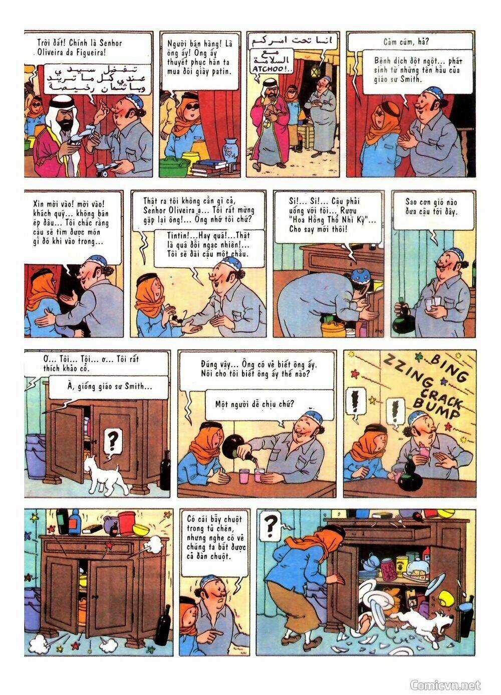 Những Cuộc Phiêu Lưu Của Tintin Chapter 2 trang 10