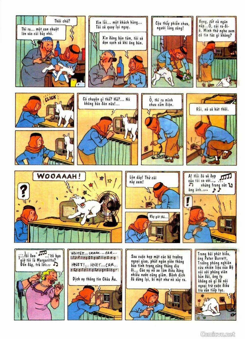 Những Cuộc Phiêu Lưu Của Tintin Chapter 2 trang 11