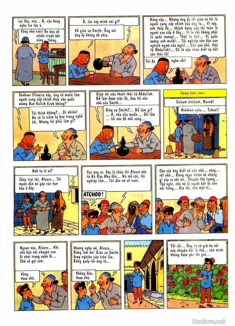 Những Cuộc Phiêu Lưu Của Tintin Chapter 2 trang 12