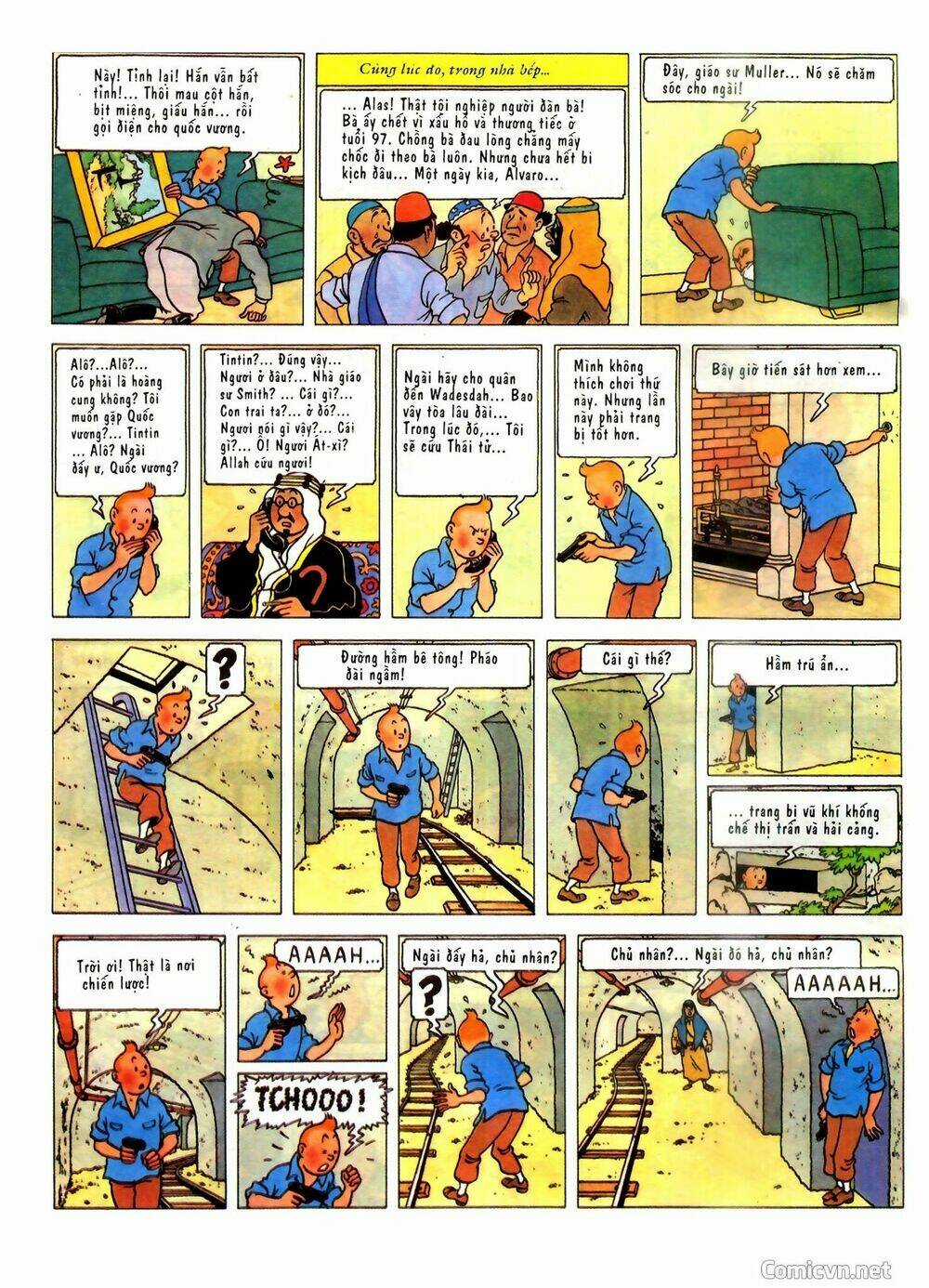 Những Cuộc Phiêu Lưu Của Tintin Chapter 2 trang 17