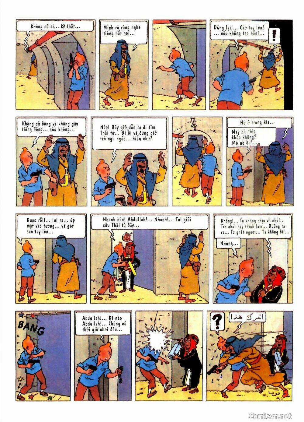Những Cuộc Phiêu Lưu Của Tintin Chapter 2 trang 18