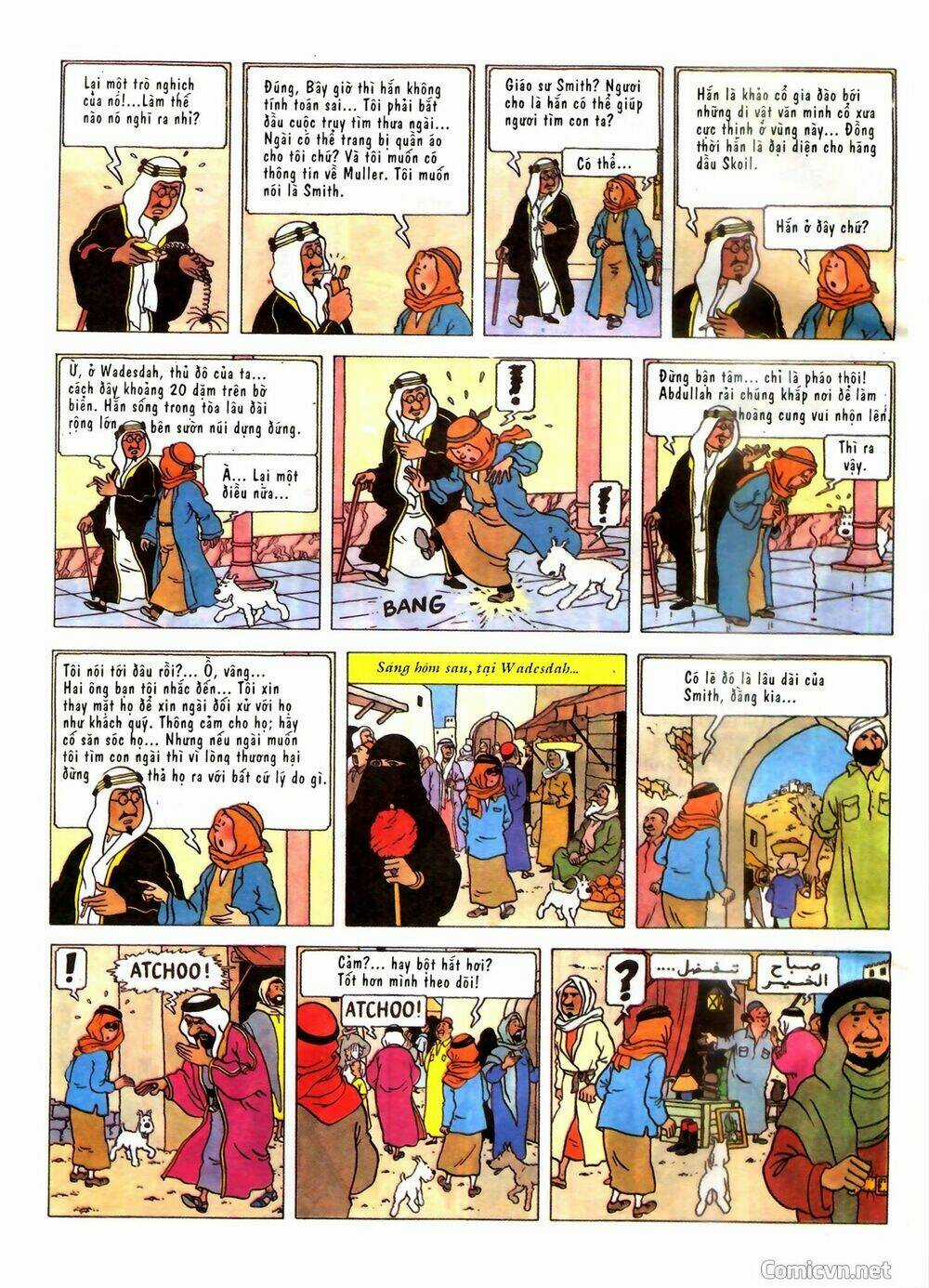Những Cuộc Phiêu Lưu Của Tintin Chapter 2 trang 9
