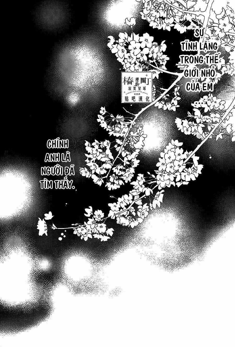 Những Đóa Sơn Trà Kia, Sẽ Vì Em Mà Đơm Hoa Khoe Sắc Chapter 57 trang 22