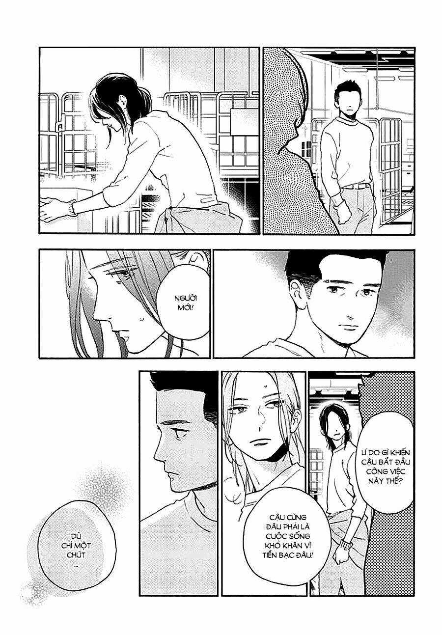Những Đóa Sơn Trà Kia, Sẽ Vì Em Mà Đơm Hoa Khoe Sắc Chapter 66 trang 20
