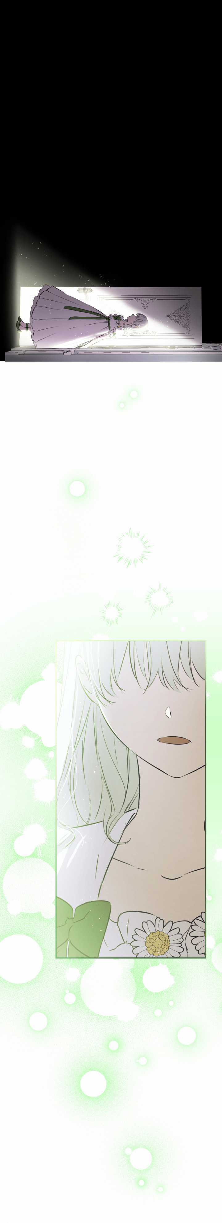 Những Kẻ Mạnh Nhất Thế Giới Đều Bám Lấy Tôi Chapter 34 trang 5