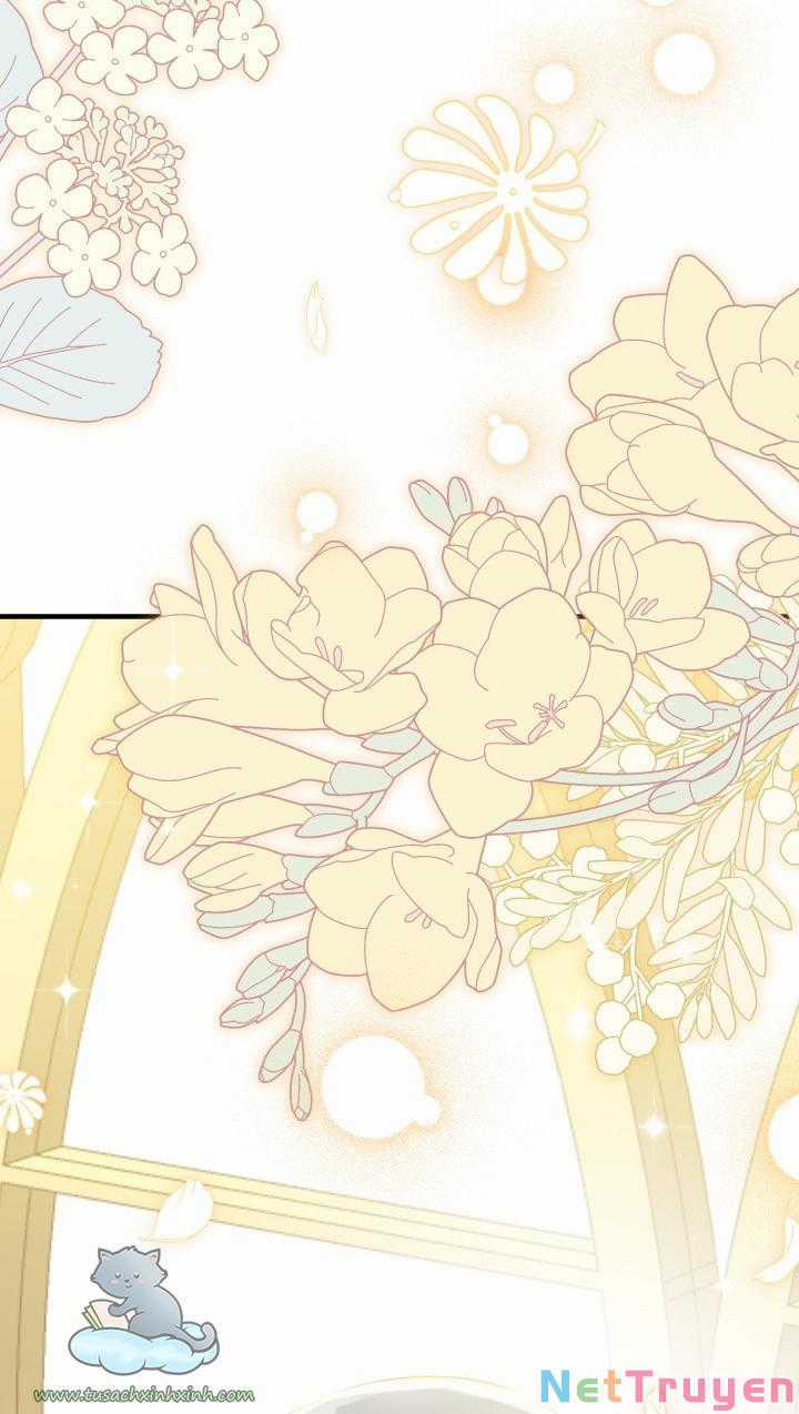 Những Kẻ Mạnh Nhất Thế Giới Đều Bám Lấy Tôi Chapter 43 trang 54