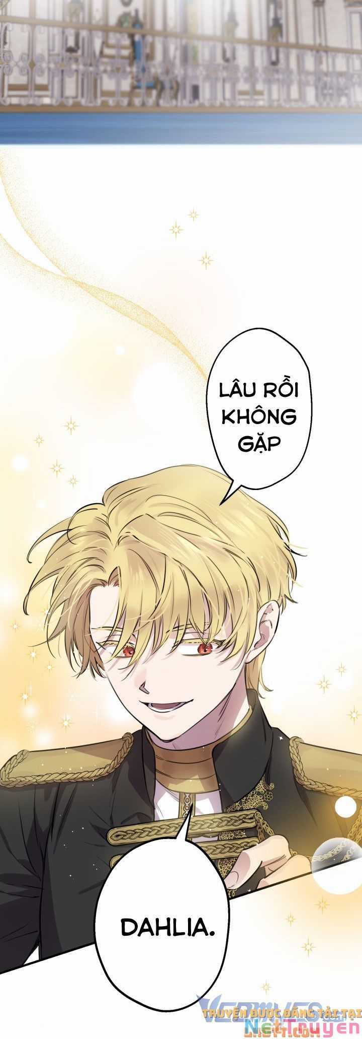 Những Kẻ Mạnh Nhất Thế Giới Đều Bám Lấy Tôi Chapter 48 trang 47