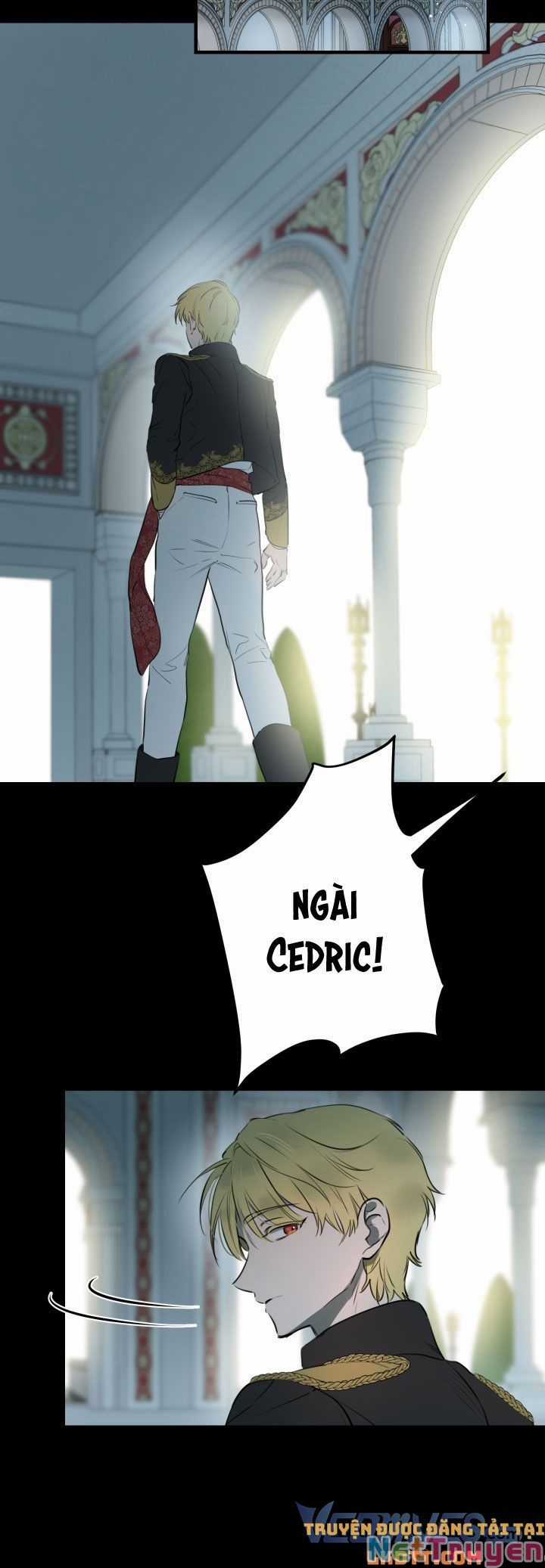 Những Kẻ Mạnh Nhất Thế Giới Đều Bám Lấy Tôi Chapter 49 trang 2