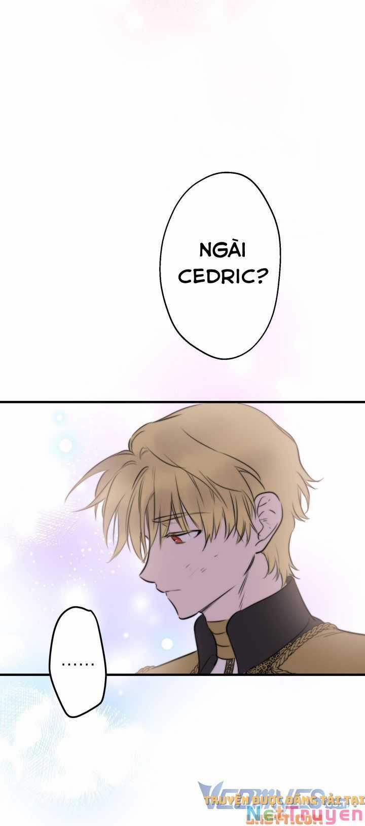 Những Kẻ Mạnh Nhất Thế Giới Đều Bám Lấy Tôi Chapter 49 trang 63