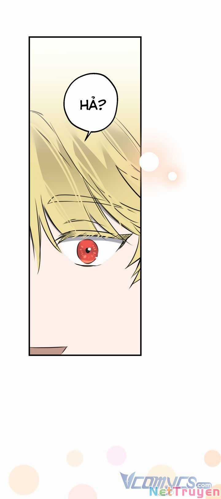 Những Kẻ Mạnh Nhất Thế Giới Đều Bám Lấy Tôi Chapter 53 trang 51