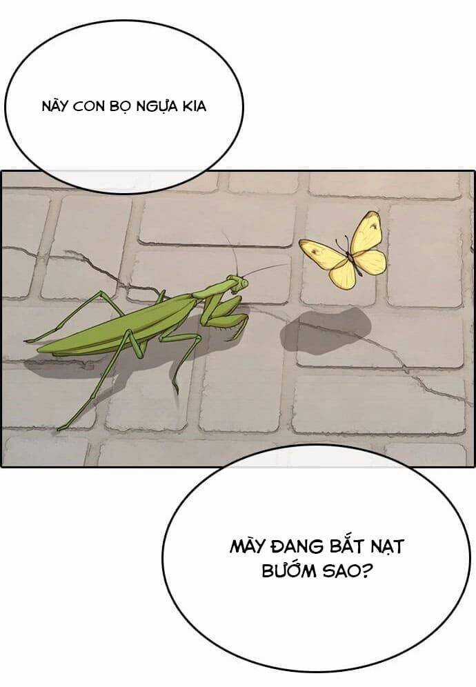 Những Mảnh Đời Tan Vỡ Chương 11 trang 20