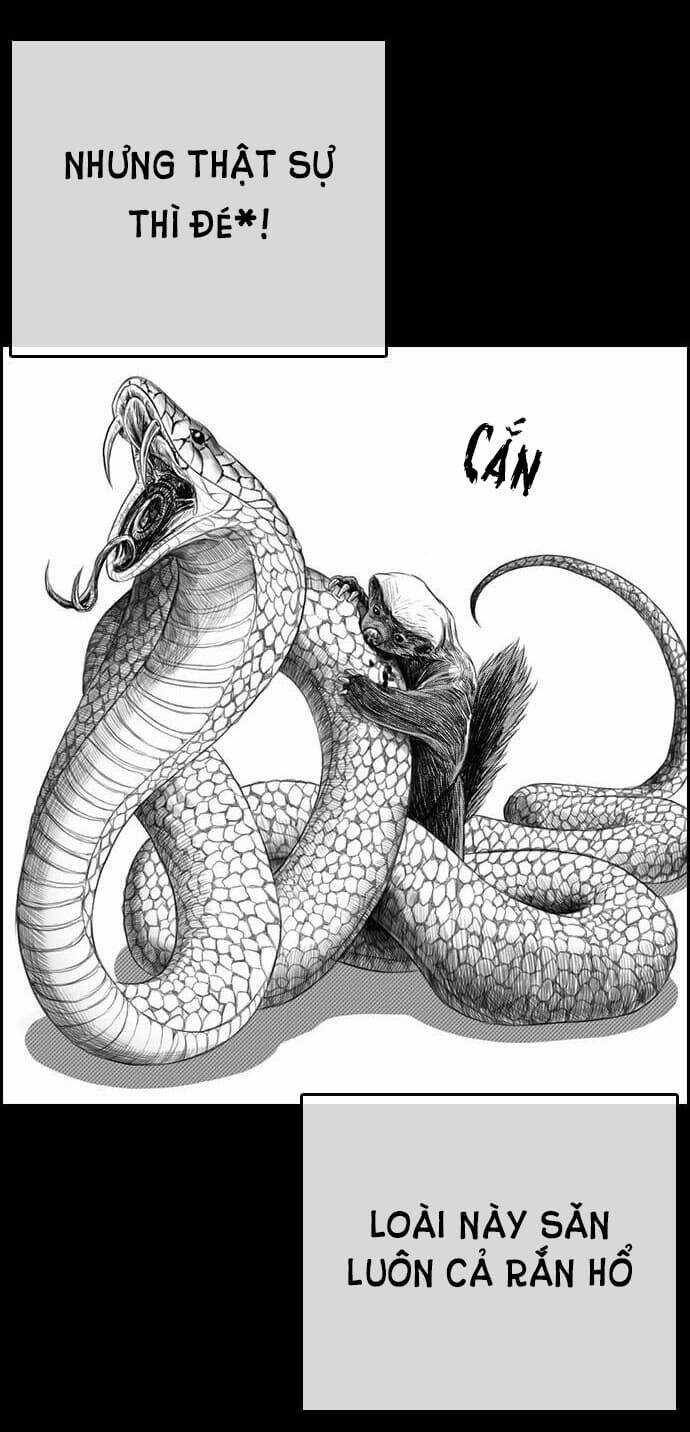 Những Mảnh Đời Tan Vỡ Chương 4 trang 4