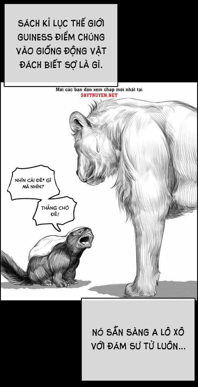 Những Mảnh Đời Tan Vỡ Chương 4 trang 5