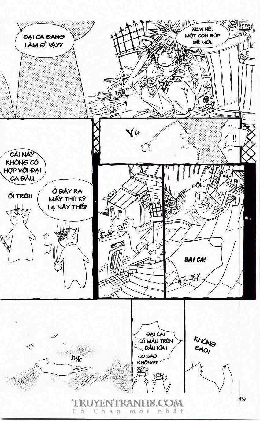 Những Ngày Tươi Đẹp Chapter 11 trang 8