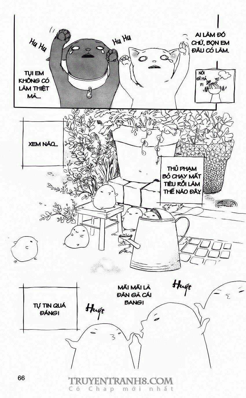 Những Ngày Tươi Đẹp Chapter 12 trang 5