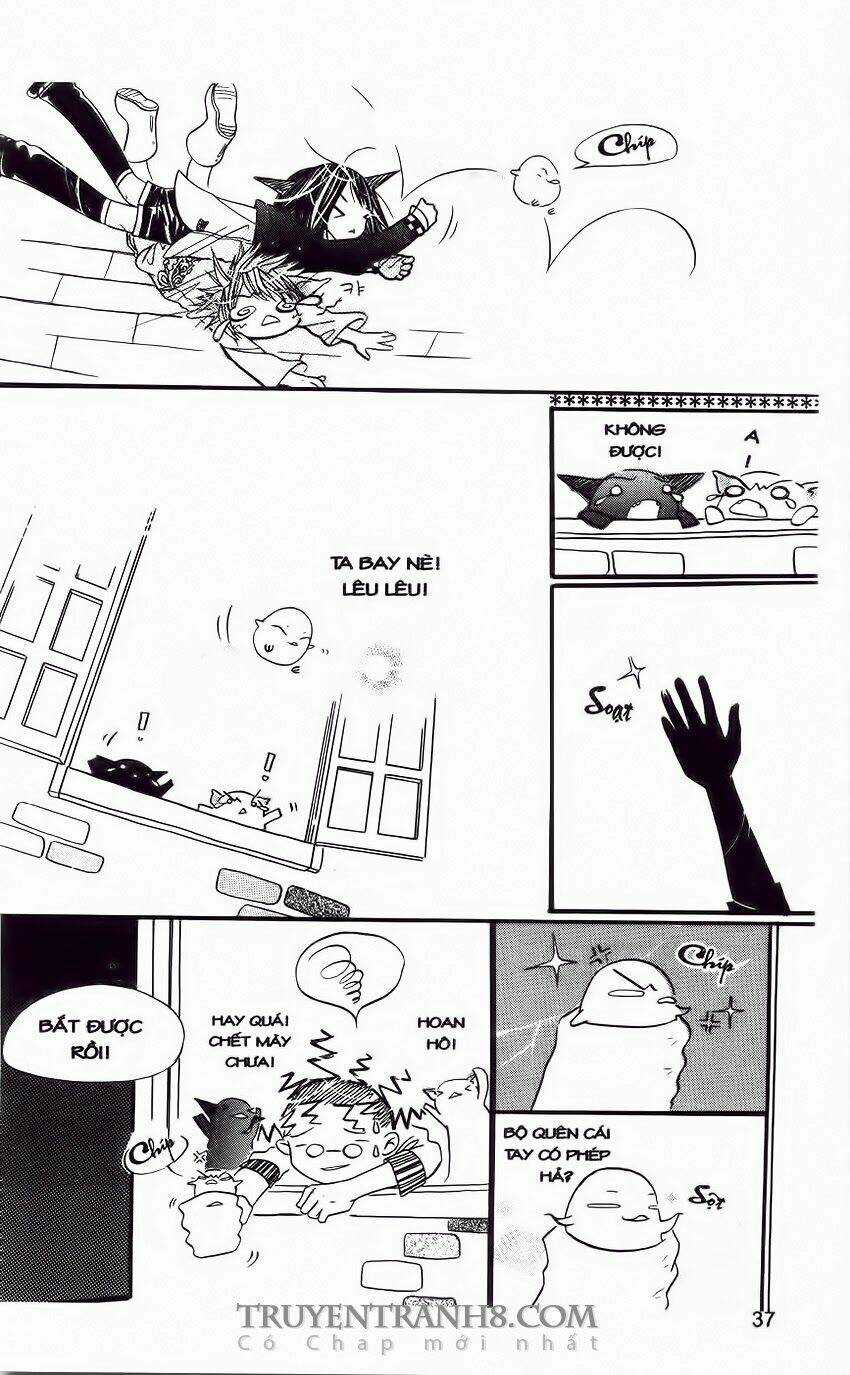 Những Ngày Tươi Đẹp Chapter 2 trang 13