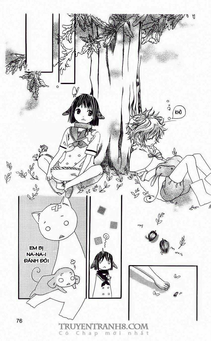 Những Ngày Tươi Đẹp Chapter 20 trang 11