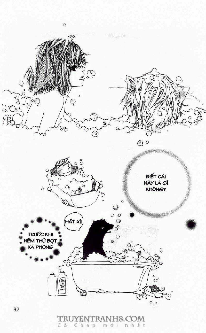 Những Ngày Tươi Đẹp Chapter 20 trang 17