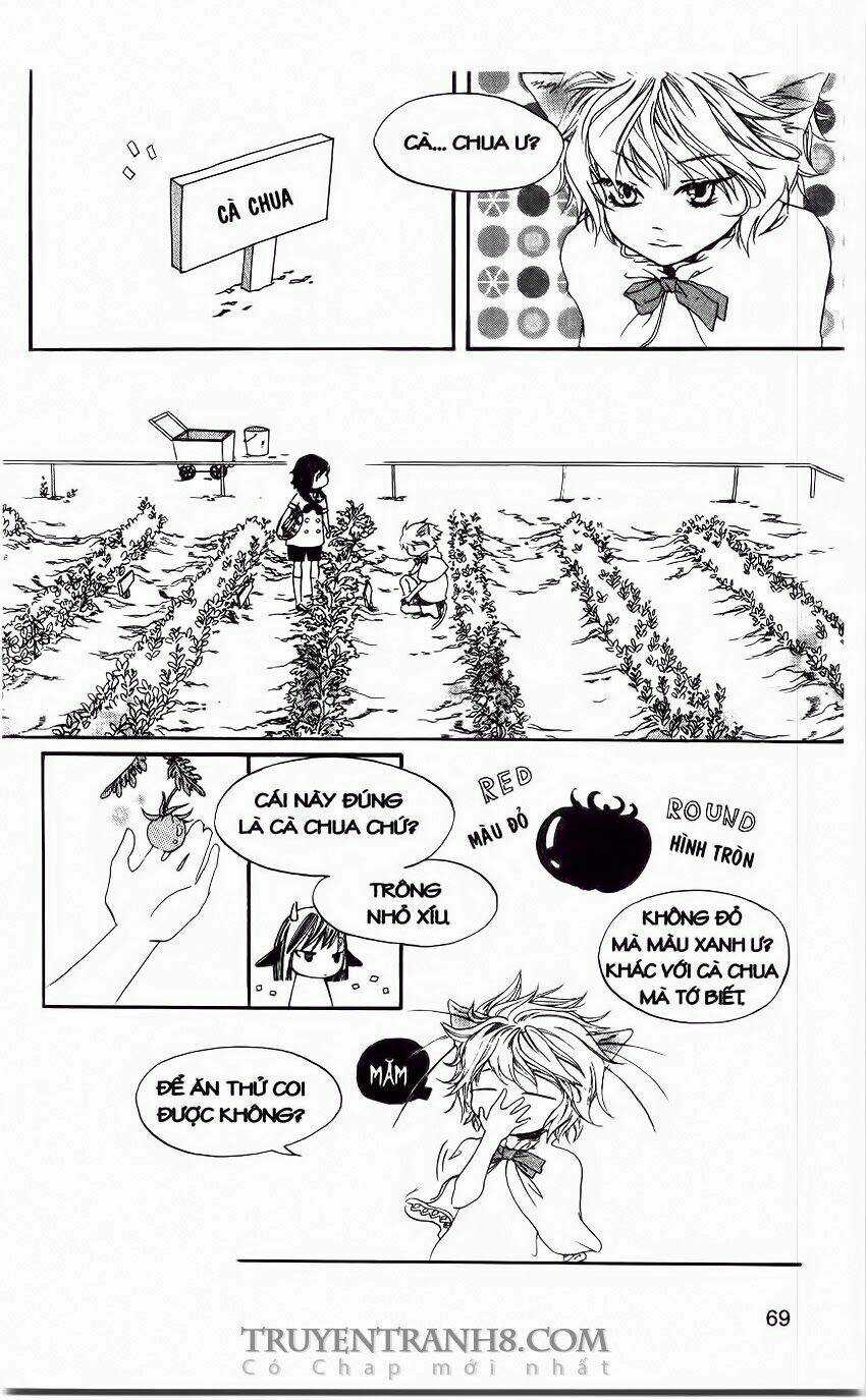 Những Ngày Tươi Đẹp Chapter 20 trang 4