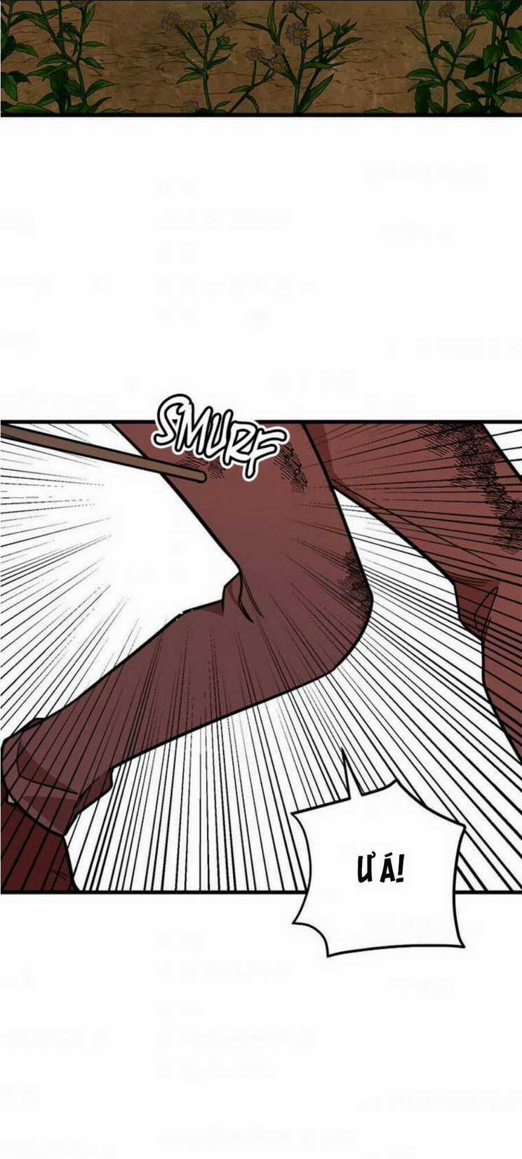 Những Người Anh Nguy Hiểm Của Công Nương Chapter 24 trang 25