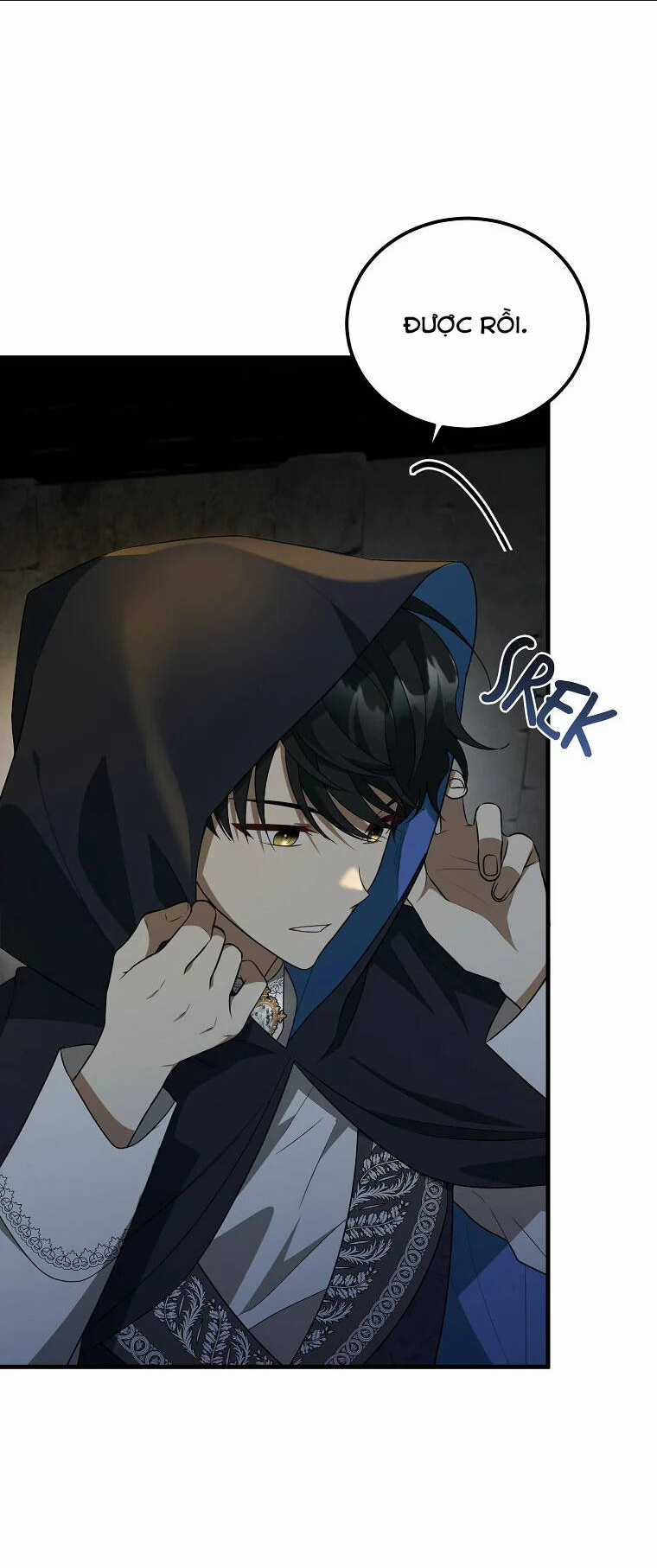 Những Người Anh Nguy Hiểm Của Công Nương Chapter 41 trang 13