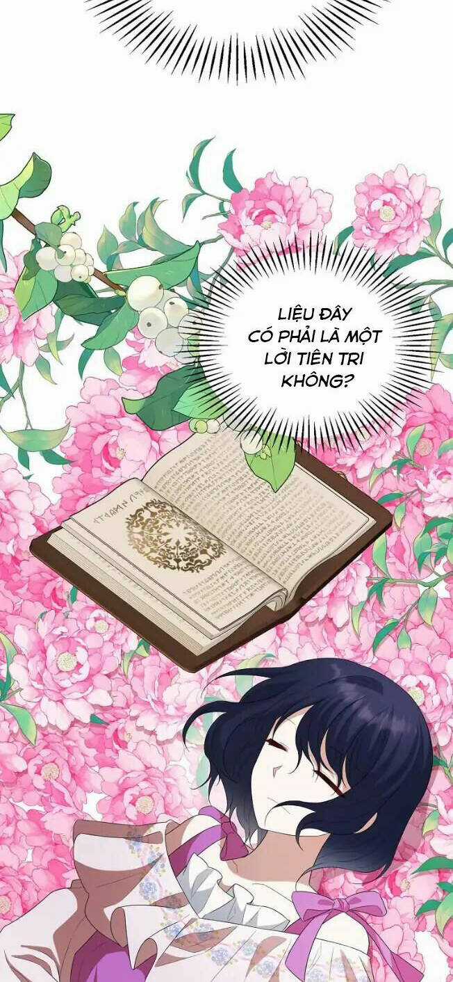 Những Người Anh Nguy Hiểm Của Công Nương Chapter 67 trang 15