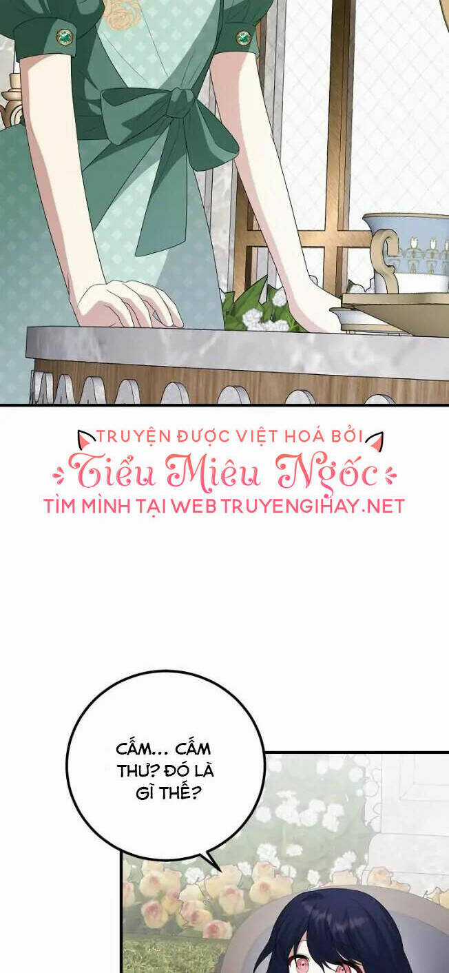 Những Người Anh Nguy Hiểm Của Công Nương Chapter 67 trang 17