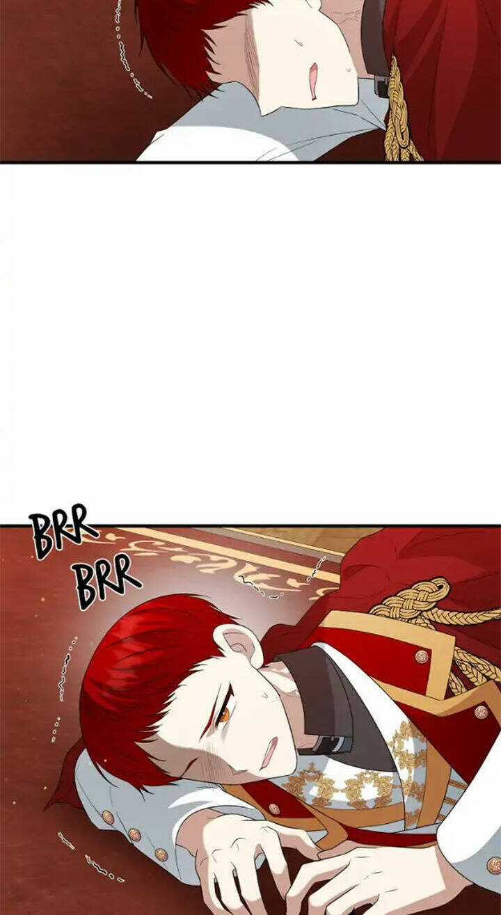 Những Người Anh Nguy Hiểm Của Công Nương Chapter 68 trang 68