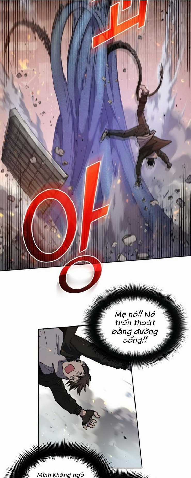 Những Ranker Cấp S Mà Tôi Nuôi Dưỡng Chapter 11 trang 17