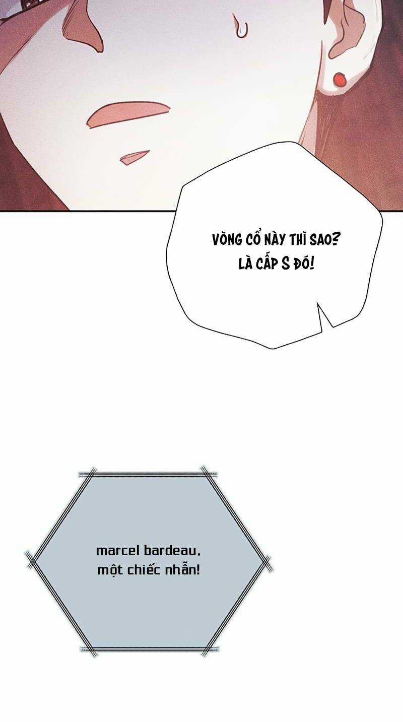 Những Ranker Cấp S Mà Tôi Nuôi Dưỡng Chapter 115 trang 71