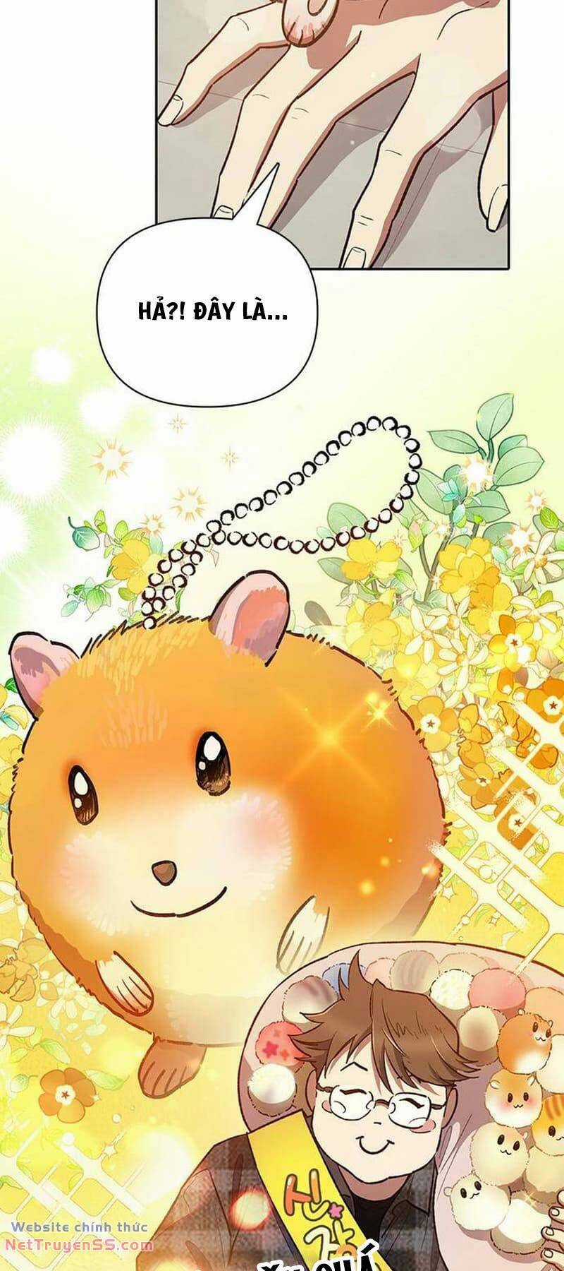 Những Ranker Cấp S Mà Tôi Nuôi Dưỡng Chapter 123 trang 29