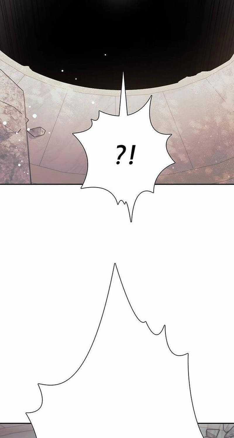 Những Ranker Cấp S Mà Tôi Nuôi Dưỡng Chapter 133 trang 12