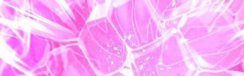 Những Ranker Cấp S Mà Tôi Nuôi Dưỡng Chapter 146 trang 199