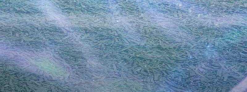 Những Ranker Cấp S Mà Tôi Nuôi Dưỡng Chapter 146 trang 40