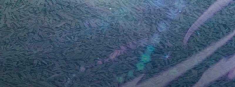 Những Ranker Cấp S Mà Tôi Nuôi Dưỡng Chapter 146 trang 41